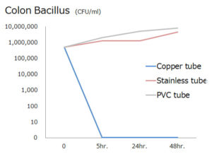 colon-bacillus